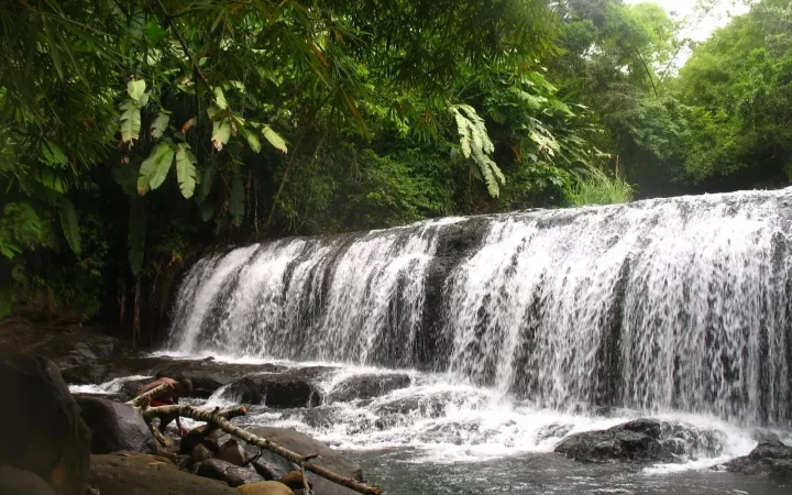 Cascade en forêt tropicale